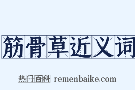 筋骨草近义词是什么意思的图片